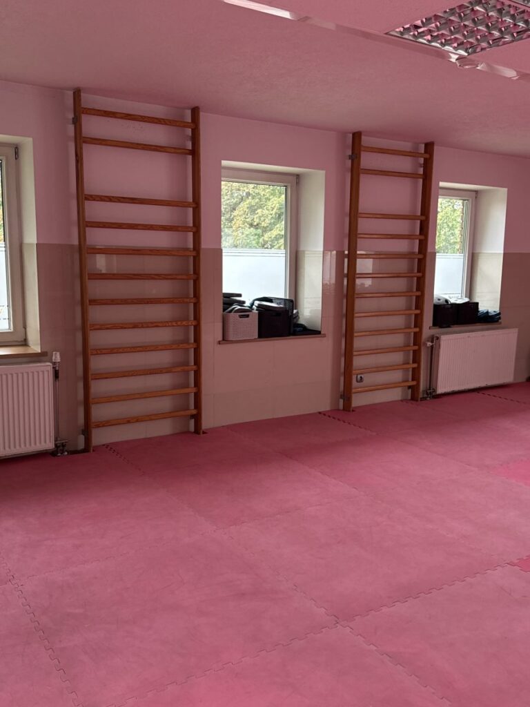 Sala do ćwiczeń z drabinkami